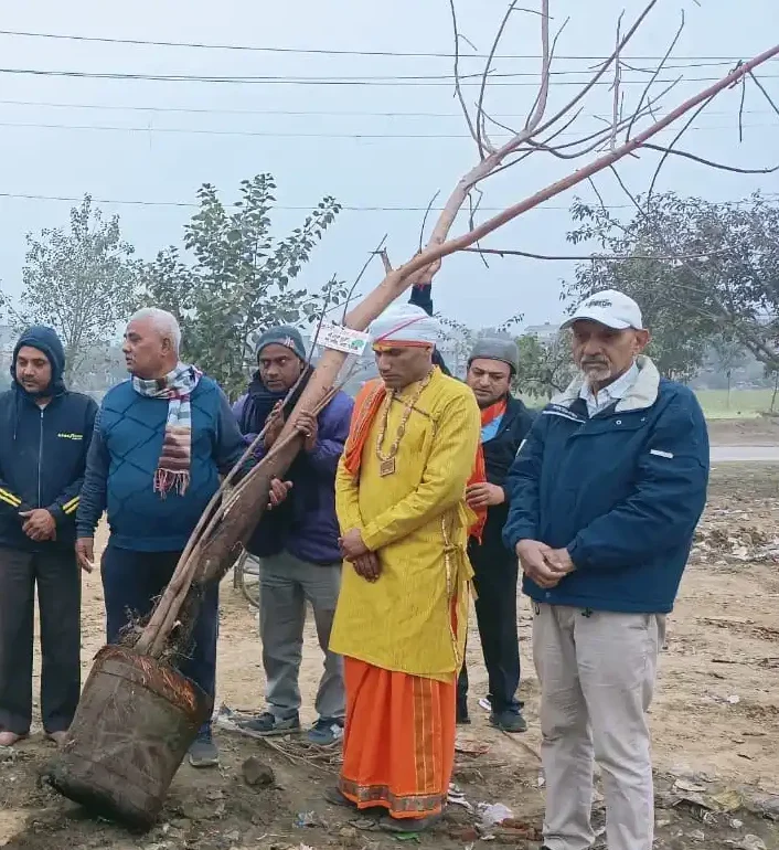 Plantation Drives